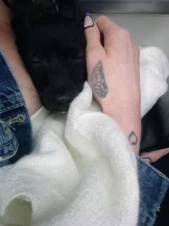 Meet Little (Walnut Creek)63861462536577124