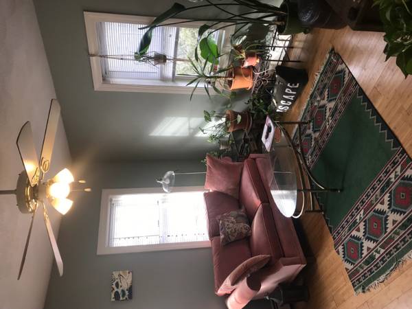 $2400.00 / 3br - 1250ft2 - 3 Bed 2 Bath clean bright apartment close to Brown, Thayer, Hope, Amtr64002827578498120