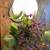 vintage scandinavian coil lamp 4 thumbnail
