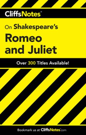 28 Cliffs Notes and Monarch book notes 1