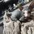 Hairless kittens 7 thumbnail