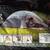 Great camping or tailgate items 9 thumbnail