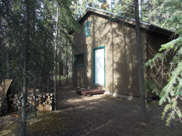 $95 / 336ft2 - Gulkana River Cabin (Gulkana, Alaska)64148845510403120