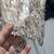 TORRID PLUS HOLIDAY JACKET 5 thumbnail