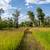 Opportunity to Build w/Private Gallatin River Access & Nature Preserve 14 thumbnail