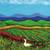 Picture Book for 5-8 Year Olds 4 thumbnail