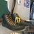 CONVERSE  WOMENS SIZE 12 MENS SIZE 10 NEW CONDITION  3M THINSULATE “LO 4 thumbnail