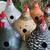 7 Large Gourds For Painting and Crafts 8 thumbnail
