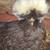 Polish Silkie chicken 13 thumbnail