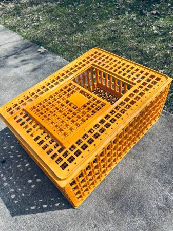 Chicken transport crates 1