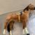 Pleasant company American Girl doll felicity vintage rare retired hors 4 thumbnail