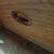 Antique Medium Chest 2 thumbnail