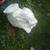 Lawn decoration elephant 1 thumbnail