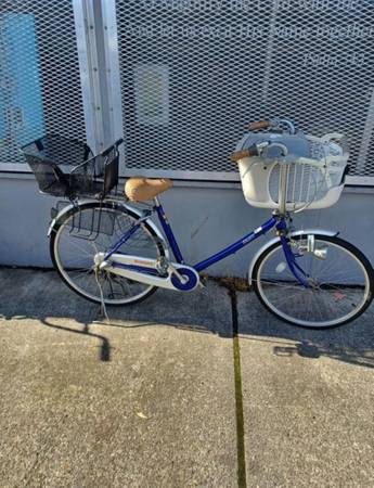 CRUISER 1