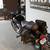 2023 ROYAL ENFIELD CLASSIC 350 | Superbike Showroom 4 thumbnail