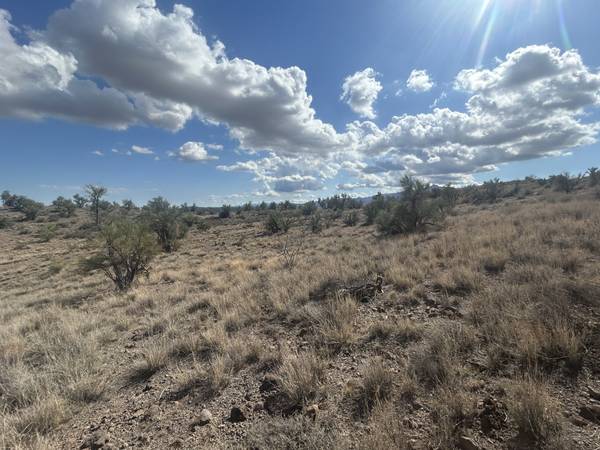 $55,000 39.99 Acres East of Kingman (Kingman)64038883248643123
