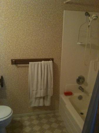 $950 / 1br - 900ft2 - Room / Share House Los Alamos Downtown (Los Alamos Downtown)63663853826051122
