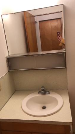 $520 / 1br - 545 NE Oak St. #11 (sublease) (Pullman)63980822587010123