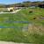 Forest Lawn Cemetery Plot GARDEN OF HERITAGE 福地,墓位－「傳承花園」 3 thumbnail