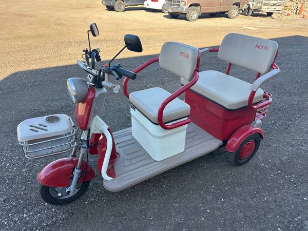 NEW Electric 3-Wheel Tricycle (Electric Rickshaw) 1