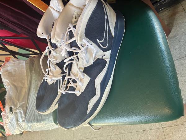 18’’ Nike shoes (NEW) 1