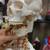 Human Skeleton Model - Life Size  Anatomically Correct 5 pickup points 4 thumbnail