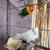 Love bird 4 thumbnail