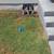 Irrigation repair,new installation and drip systems 20 thumbnail