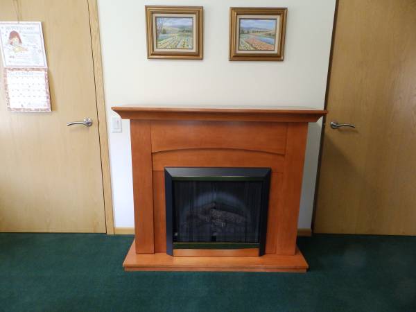 Dimplex Electric Fireplace 1