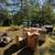 Junk removal & property restoration & clean up services 2 thumbnail
