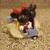 Disney Mickey & Minne Mouse in Dumbo pull back car toy 6 thumbnail