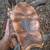 RedFoot Tortoise 2 thumbnail