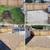 Landscaping Services * Brick Paving*Mulch *Sod * Quality Work.🌹🌻🌼🌞 6 thumbnail