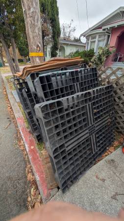 Free plastic pallets 1