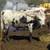 Registered Texas Longhorn Bulls 7 thumbnail