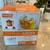 Dash Citrus Juicer 3 thumbnail