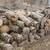 (4) PILES OF WOOD 9 thumbnail