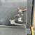 MINI EXCAVATOR CAT 301.7D 2015 17 thumbnail