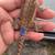 Bearded Dragon Baby Morph Genetics 7 thumbnail
