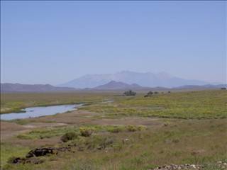 $8,000 RIO GRANDE RIVER RANCHES (9) 1/4 ACRES COLORADO NEAR TOWN SAN LUIS (San Luis)63857623357569121