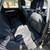 2018 Audi Q5 Premium Plus w/Technology Value Pkg Sport Utility 4D 8 thumbnail