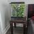 Fully Equipped 18×18×24 Exo Terra Crested Gecko Setup + Gecko 3 thumbnail