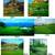 Golf Played In A Sea Of Green, 2 thumbnail