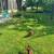 8 Laying Hens 1 thumbnail