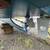 1993 26 ft Shamrock Stalker (Center Console with cuddy cabin 11 thumbnail