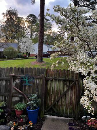 $700 / 1br - 1 bedroom Room in 2 br / 1 ba Sunset Hills Condominiums (Sunset Hills)64027274762114123