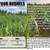 PROCAL LIQUID LIME RAISES pH FASTER AND CHEAPER THAN GRANULAR AG LIME 17 thumbnail