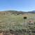 3 side by side lots package sale- 12 acres 2 thumbnail