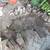 JUNK-TRASH-DEBRIS-FURNITURE-TOTAL PROPERTY CLEARING 7 thumbnail