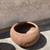 Flower pots 1 thumbnail